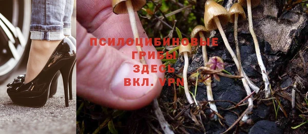 герыч Абинск