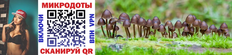 Галлюциногенные грибы Magic Shrooms  ОМГ ОМГ ТОР  Алдан 